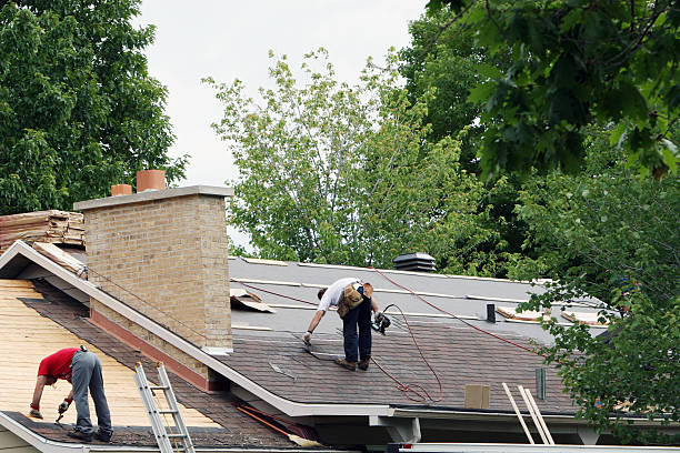 Best Green or Eco-Friendly Roofing Solutions  in Wyoming, DE